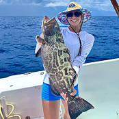 Kristen Grouper Kristen Grouper